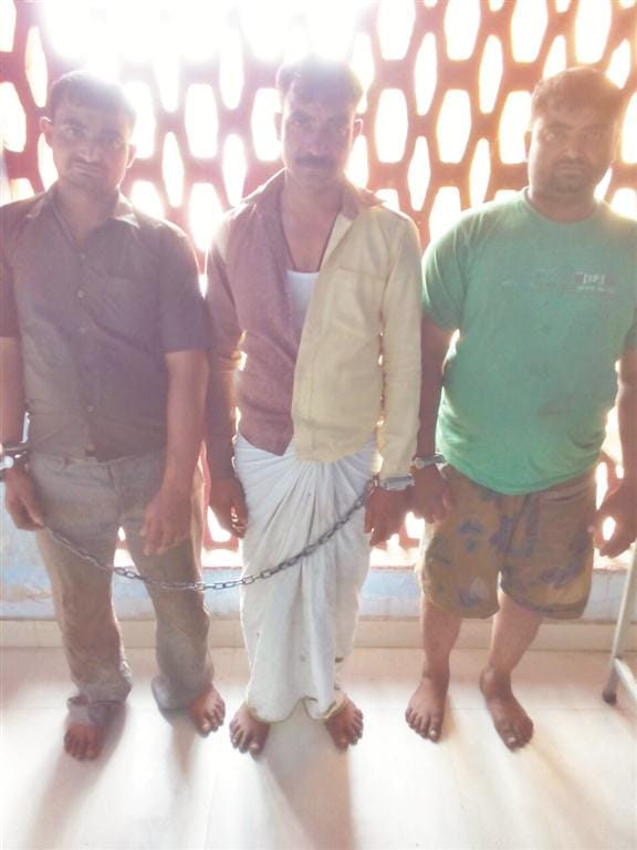 Three in charge of the house was finally picked Pilkana gaukashi