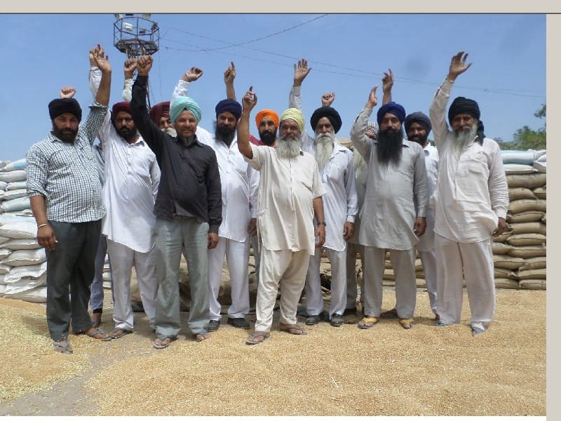 wheat mandi, farmers problem, wheat lifting, punjab farmers, punjab, mohali