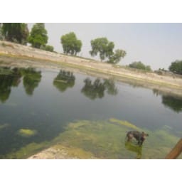 hindi story, water problem, no water in tank, Hisar