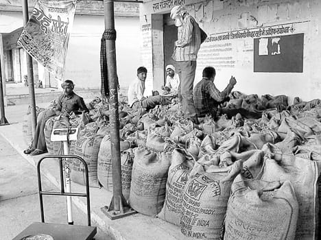 farmers return bare hands