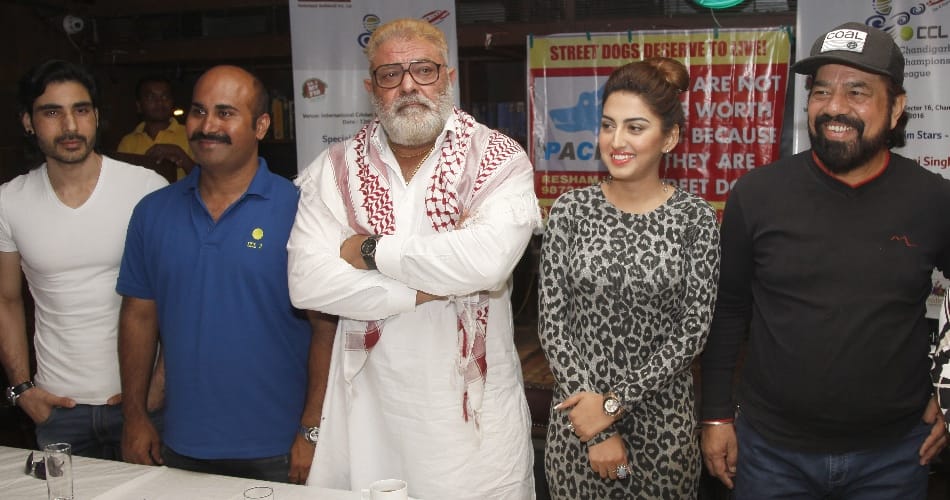 Yuvraj's father Yograj said on his return to the IPL?