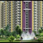 property market is badly broken by demonetisation