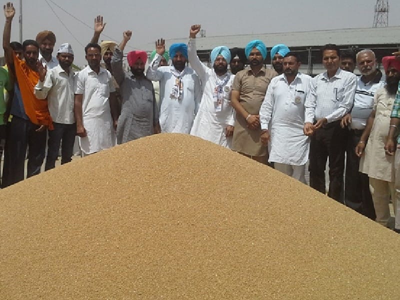 Wheat procurement, not pay,  farmer, protesting, Sangrur