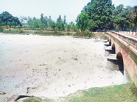 Lack of water in the canals dried crops