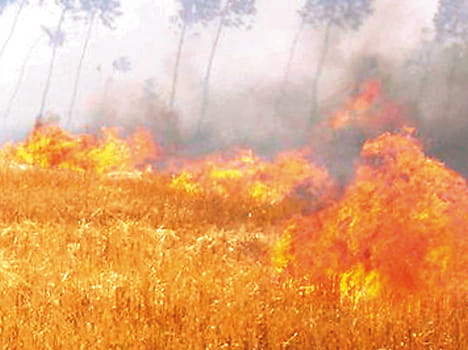 The spark from the stove burns three houses