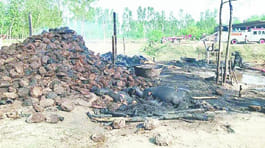 Huts on fire, a dozen cattle died