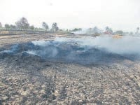 get fired corp of 23 acre