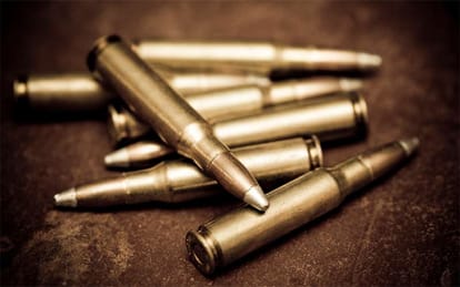 wanted man shoots himself after killing his girlfriend