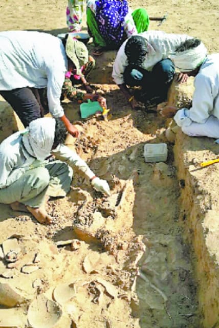 rakhi garhi, archeology deptt, hadappa culture, hadappa heritage, hisar