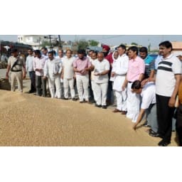 State minister kamboj broke in grain market, State minister kamboj in pipli Kurukshetra.