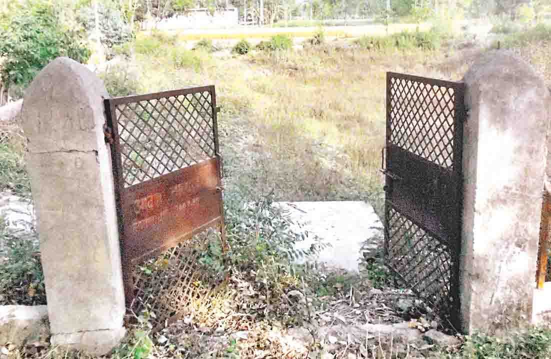 ponds in trouble