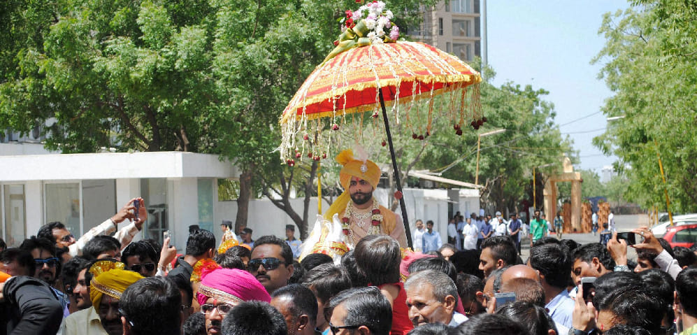 Ravindra Jadeja poses in front of lions; inquiry ordered