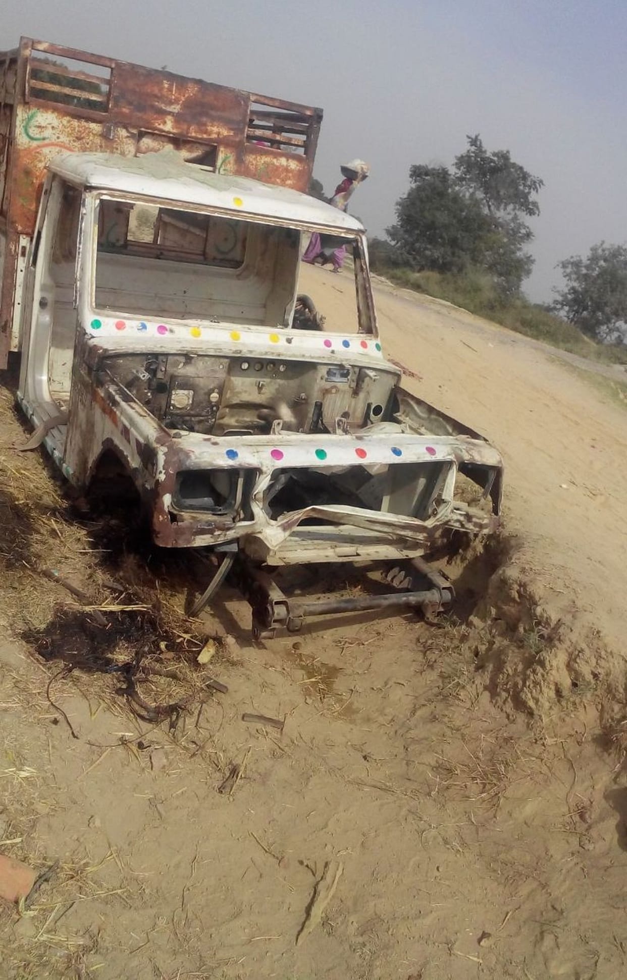 pashu choree kar le ja rahee pikap khadd mein giree