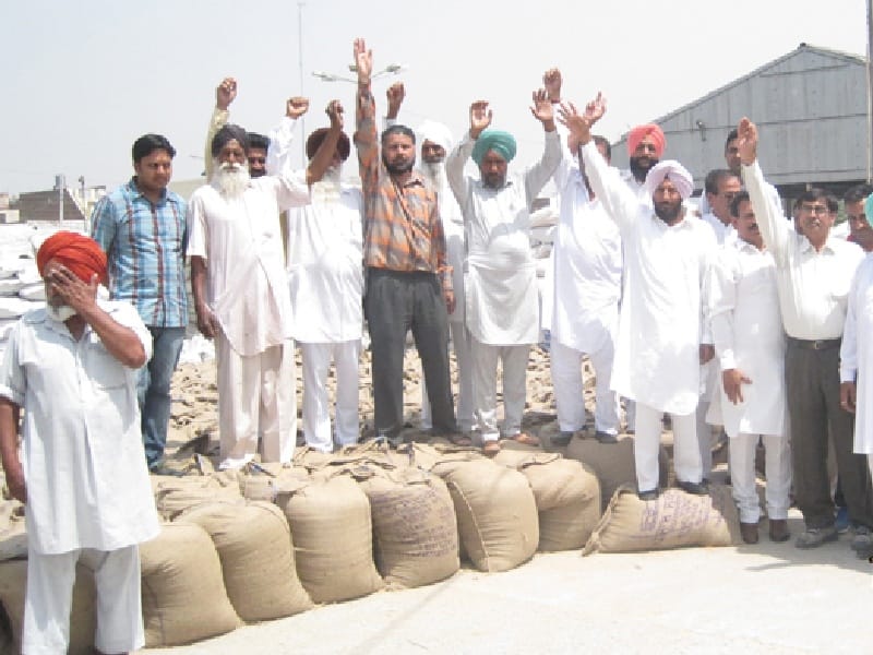 Wheat, no payoff, farmers, Sangrur raging in Congress, protesting, Sangrur
