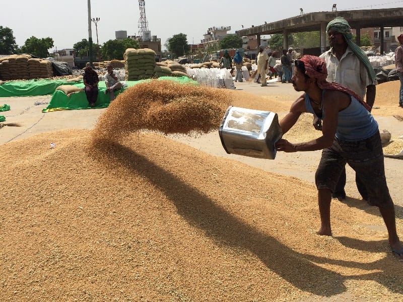 Wheat, no payoff, farmers, upset, Ropar