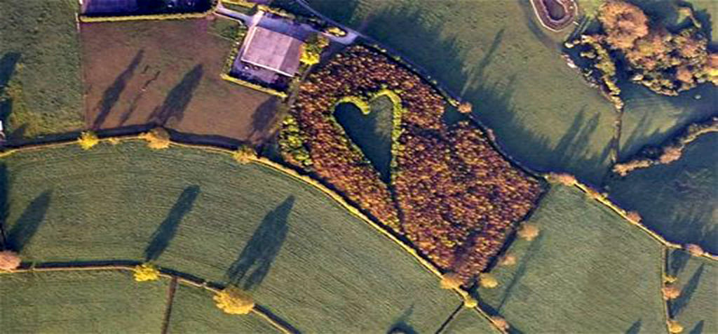 Epic Tributes to Love That’ll Inspire You