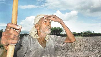 101 crore to farmers dry land welfare scheme