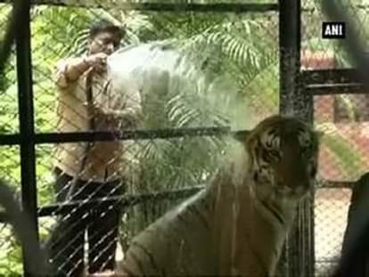 Hyderabad zoo authorities help animals escape hot weather 