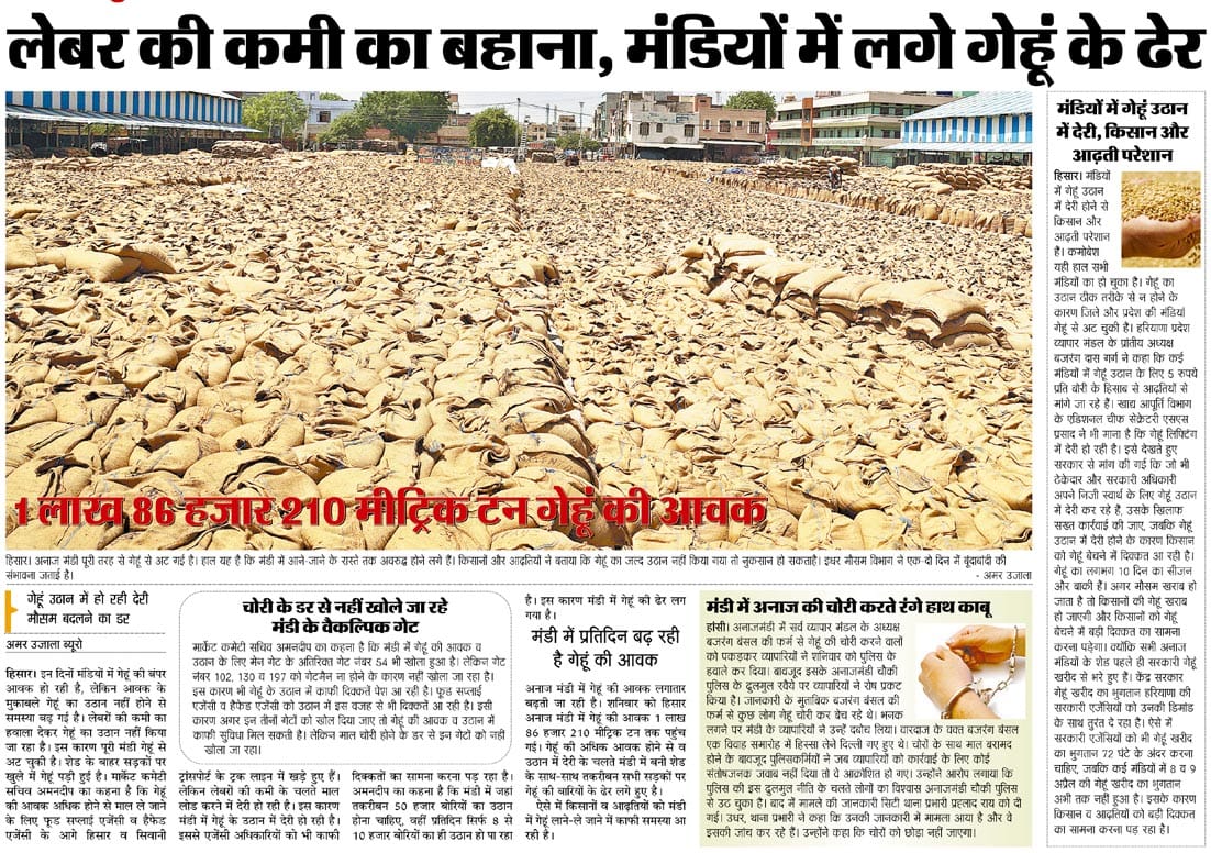 Mandi, Wheat storage in Hisar Mandi, Wheat storage problem in Hisar Mandi, Hisar