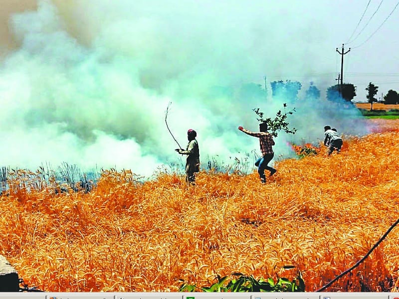 fire, wheat burn in ludhiana, ludhiana fire