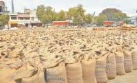 six tin shade for rewari farmers in mandi