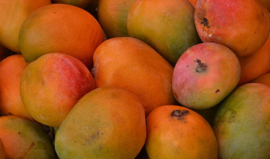 tips to identify chemically ripened mango can harmful for health