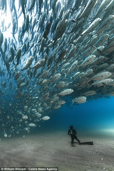 marine tornado