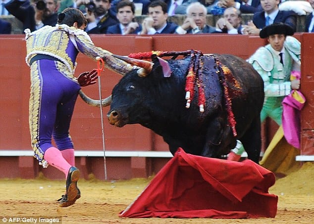bull gores metador on back