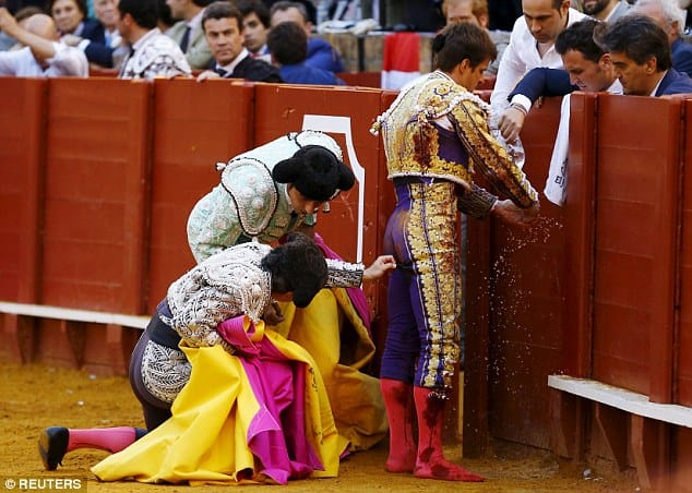 bull gores metador on back