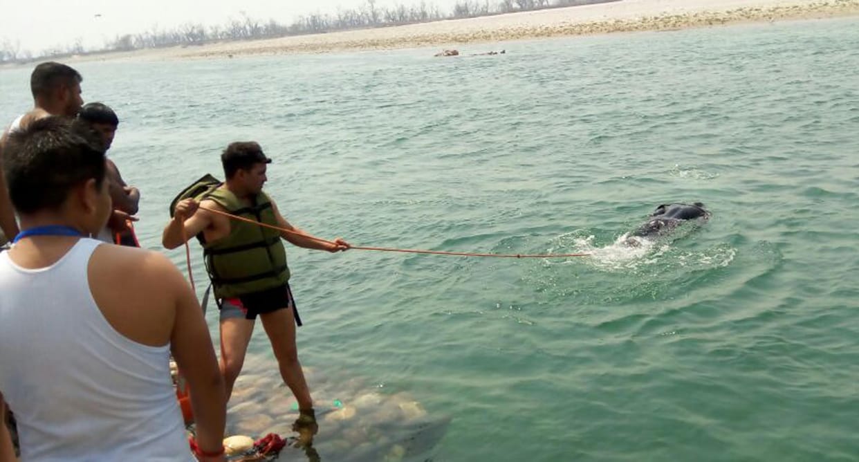 boy sunk during swimming with grandfather