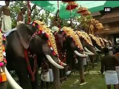 10-day Thrissur Pooram festival begins with elephant parade