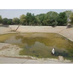 Water problem in  hisar, Leelas, hindi news, hisar