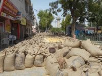 fatehabad news, hindi news,road