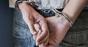 smugler arrest