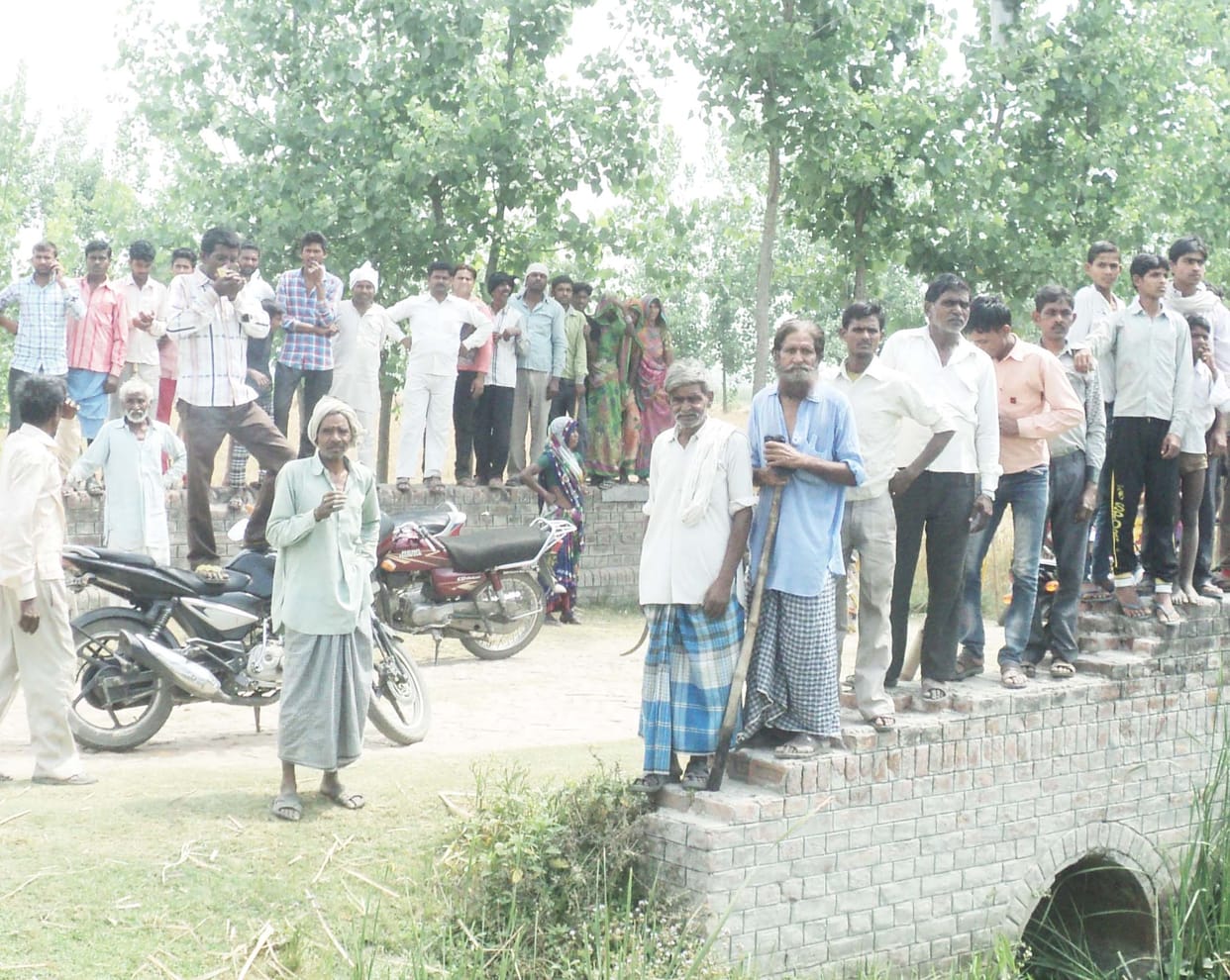 Panic in the population as a roaming tiger
