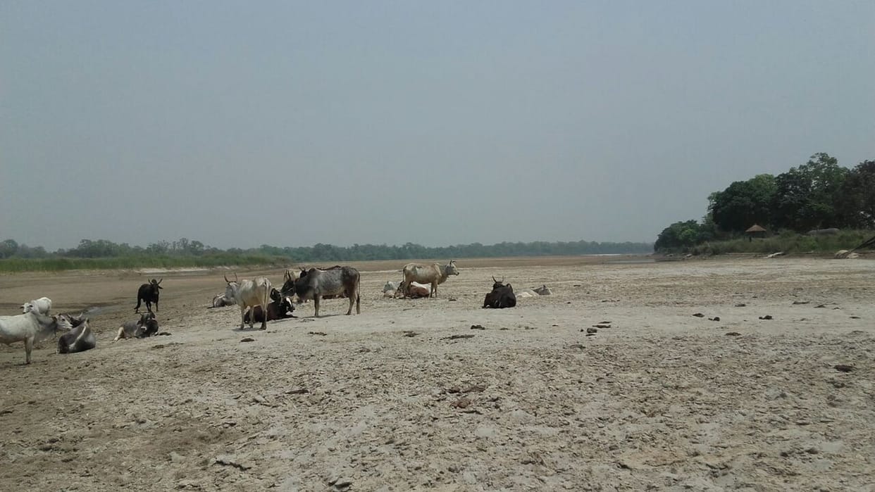 sand flying in the river 
