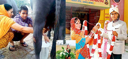 American woman married Ahmedabad slum-dweller, Amazing Love Stories