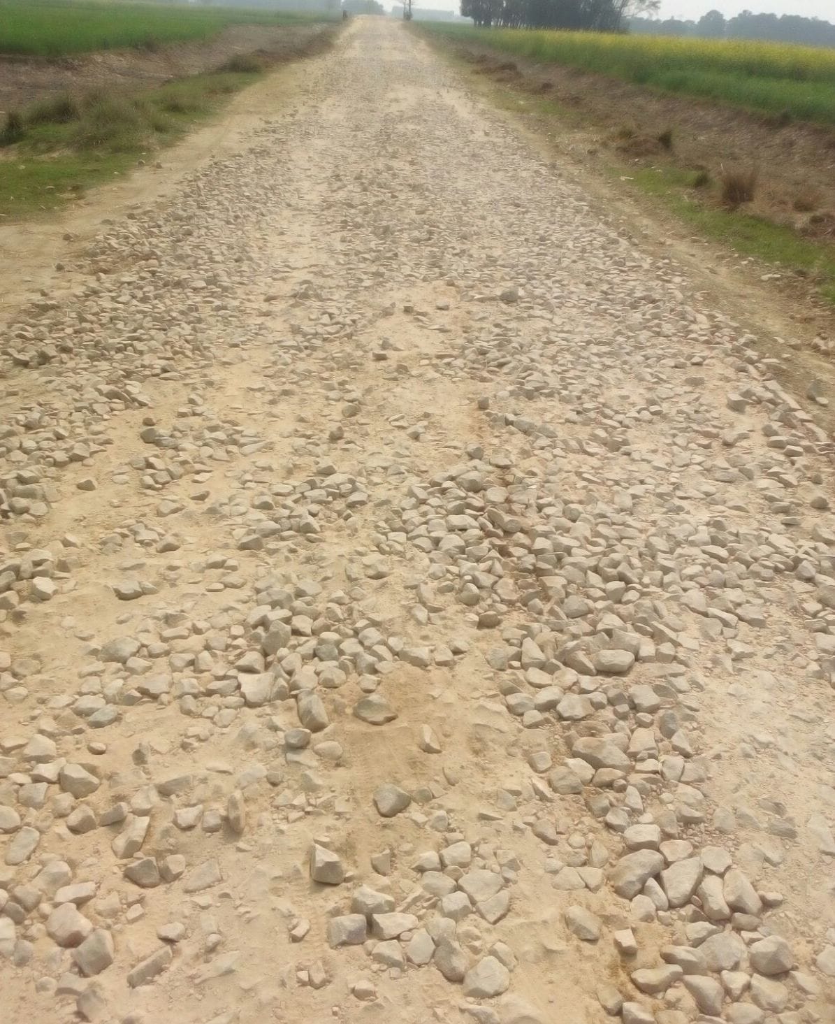 Pierced impoverished rural connectivity