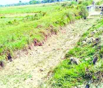 villagers upset due to drought in gasdi block