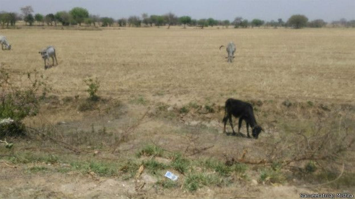 drought in bundelkhand