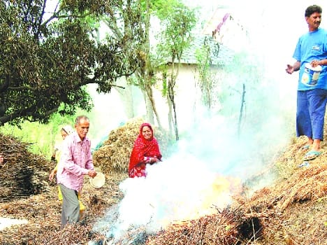 fire in weat crop in bhena baraman