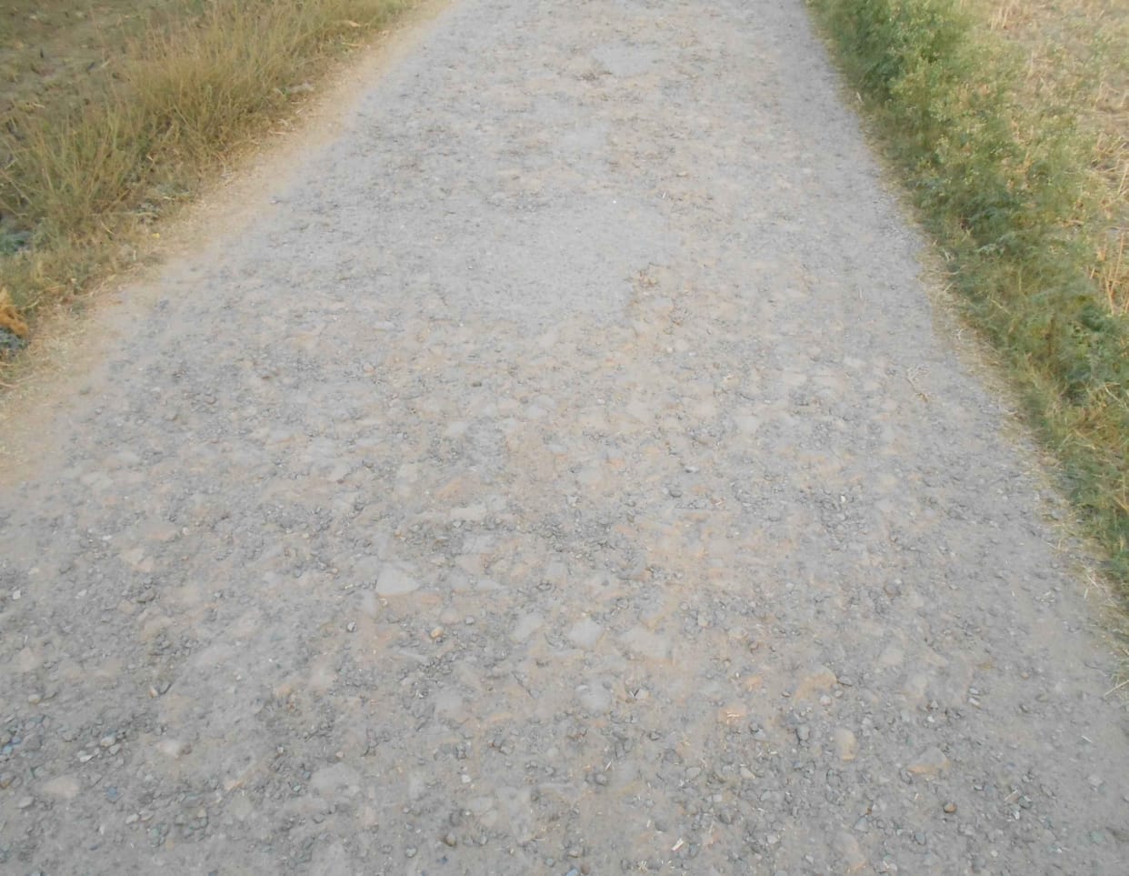 100 se adhik sadaken In the absence of repair have broken over 100 roads