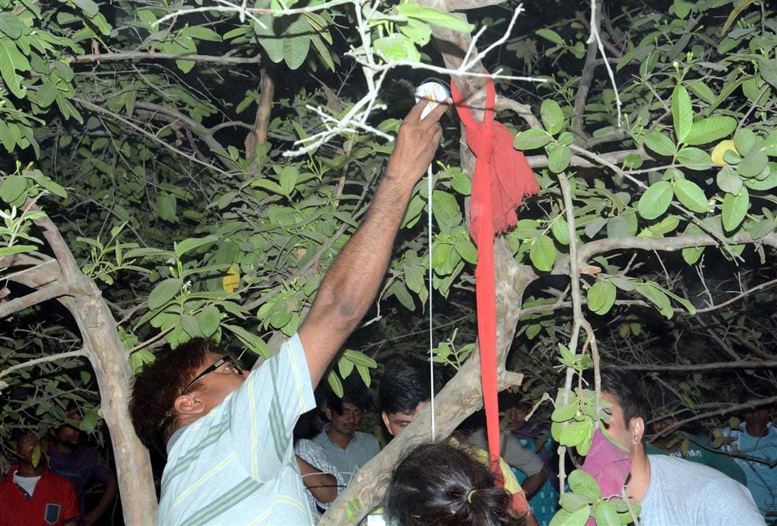 Teenager murdered bodies hung on a tree