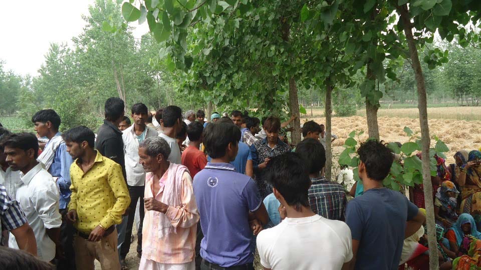 Young and middle-aged murdered bodies dumped in woods