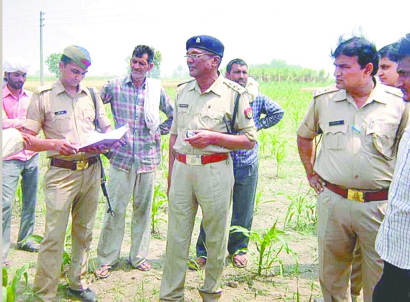 Shovel servant farmer harvested