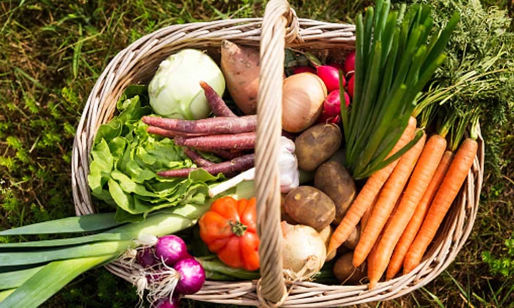 retail vegetable price hike