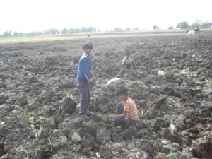 bundelkhand water crisis lalitpurr