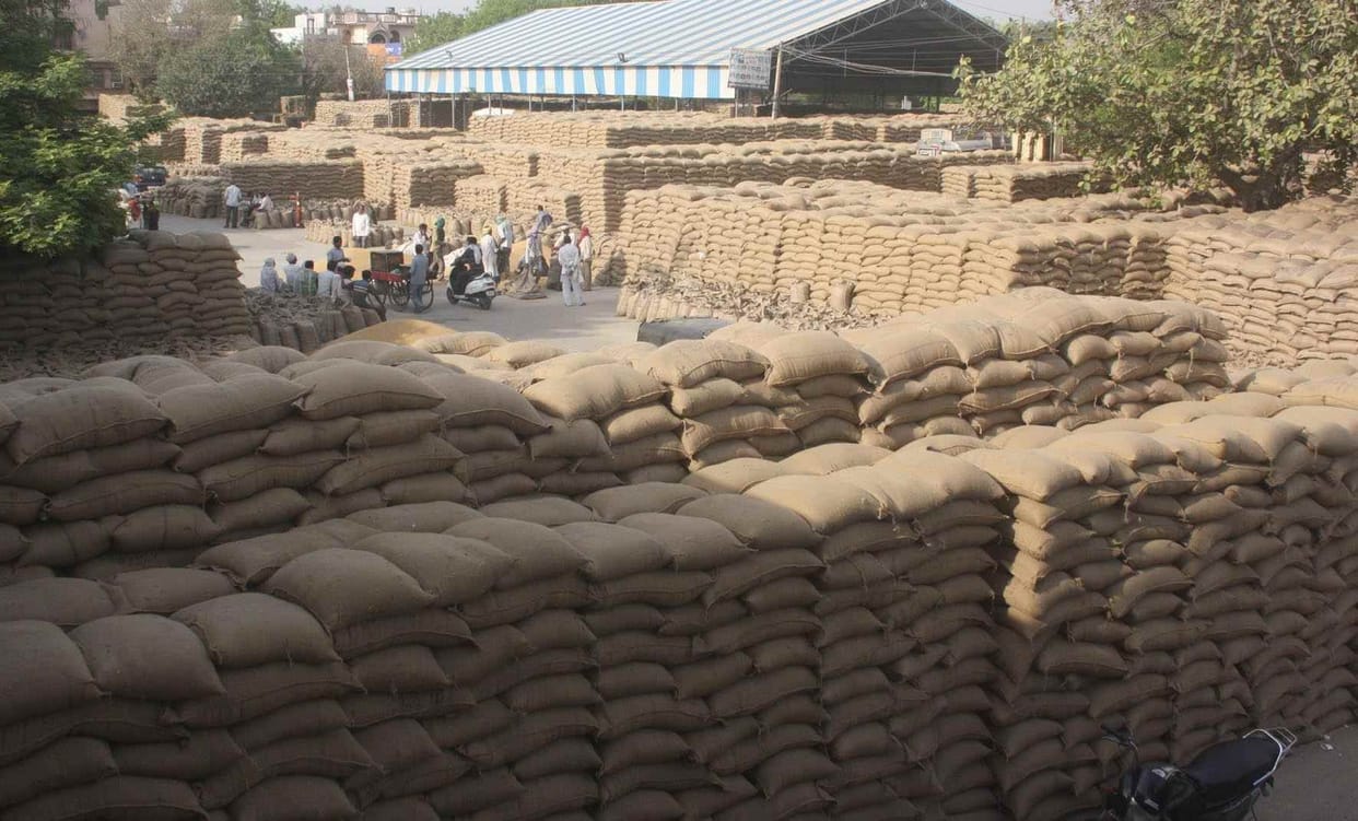 Wheat will no longer be stored in the open in Haryana