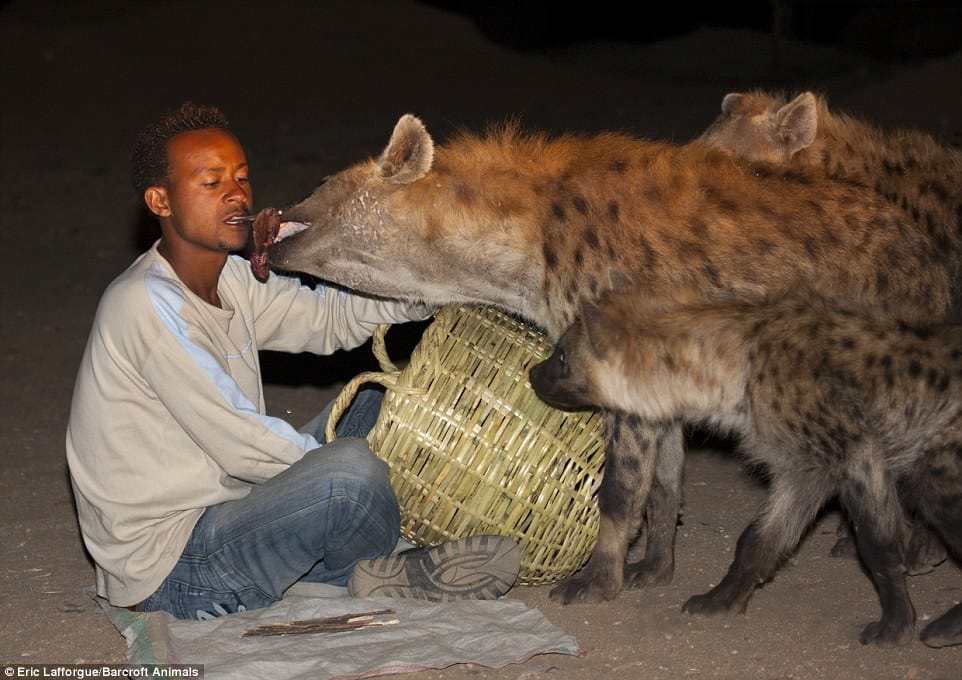 animal bonding with the tribes