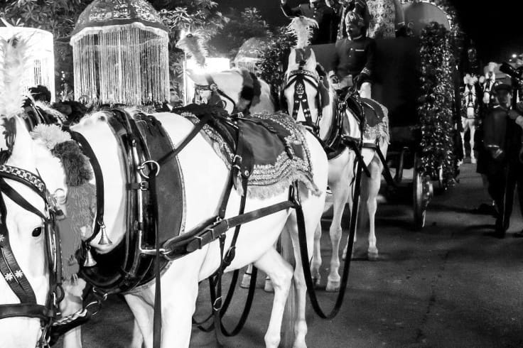 two grooms returned